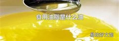 食用油脂是什么油