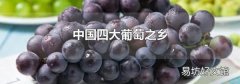 中国四大葡萄之乡