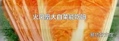 火凤凰大白菜能吃吗
