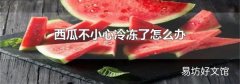 西瓜不小心冷冻了怎么办