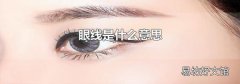 眼线是什么意思