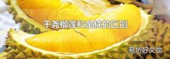 干尧榴莲和金枕的区别