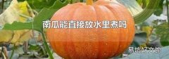 南瓜能直接放水里煮吗