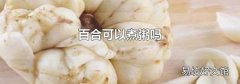 百合可以煮粥吗