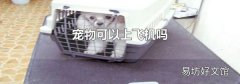 宠物可以上飞机吗