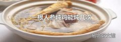 一根人参炖鸡能炖几次