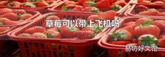 草莓可以带上飞机吗