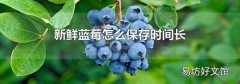 新鲜蓝莓怎么保存时间长