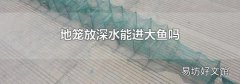 地笼放深水能进大鱼吗