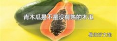 青木瓜是不是沒有熟的木瓜