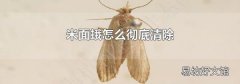 米面蛾怎么徹底清除