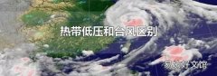 熱帶低壓和臺風區別