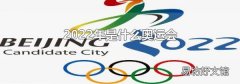 2022年是什么奧運會