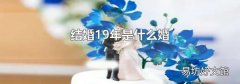 結婚19年是什么婚