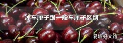 冰车厘子跟一般车厘子区别