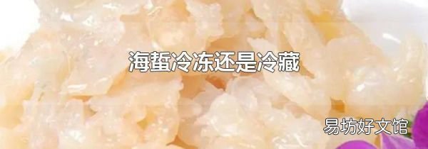 海蜇冷冻还是冷藏