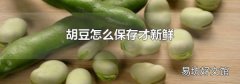 胡豆怎么保存才新鲜