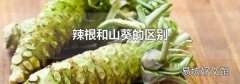 辣根和山葵的区别