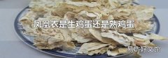 凤凰衣是生鸡蛋还是熟鸡蛋