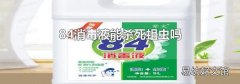 84消毒液能杀死蛆虫吗