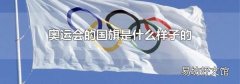 奥运会的国旗是什么样子的