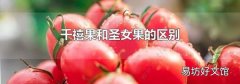 千禧果和圣女果的区别