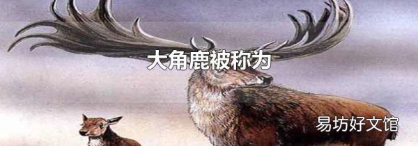 大角鹿被称为