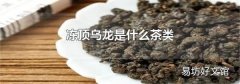 冻顶乌龙是什么茶类