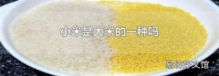 小米是大米的一种吗