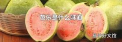 芭乐是什么味道