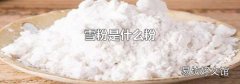 雪粉是什么粉