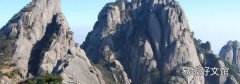 黄山能带狗进去吗