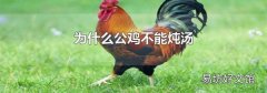为什么公鸡不能炖汤