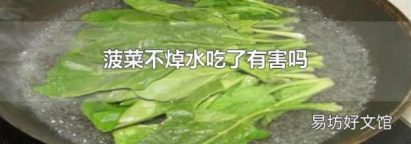 菠菜不焯水吃了有害吗