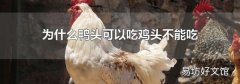 为什么鸭头可以吃鸡头不能吃