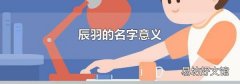辰羽的名字意義
