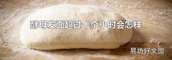 酵母发面超过十个小时会怎样