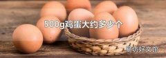 500g雞蛋大約多少個
