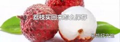 荔枝買回來怎么保存