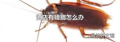 酒店有蟑螂怎么办