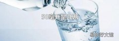 50毫升是几两