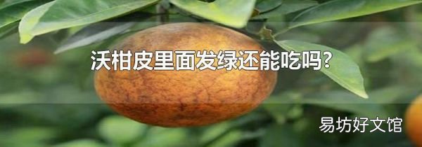 沃柑皮里面發(fā)綠還能吃嗎?
