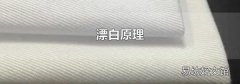 漂白原理