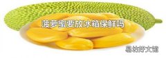 菠萝蜜要放冰箱保鲜吗