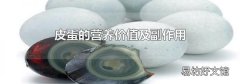 皮蛋的营养价值及副作用