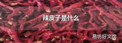 辣皮子是什么