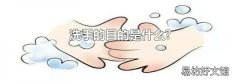 洗手的目的是什么?