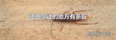 蟑螂爬過的地方有多臟