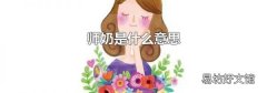 师奶是什么意思