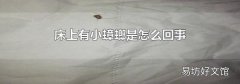 床上有小蟑螂是怎么回事